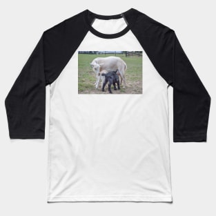 Mom and baby goats Baseball T-Shirt